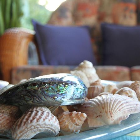 Chalet Romantica Paihia Eksteriør billede